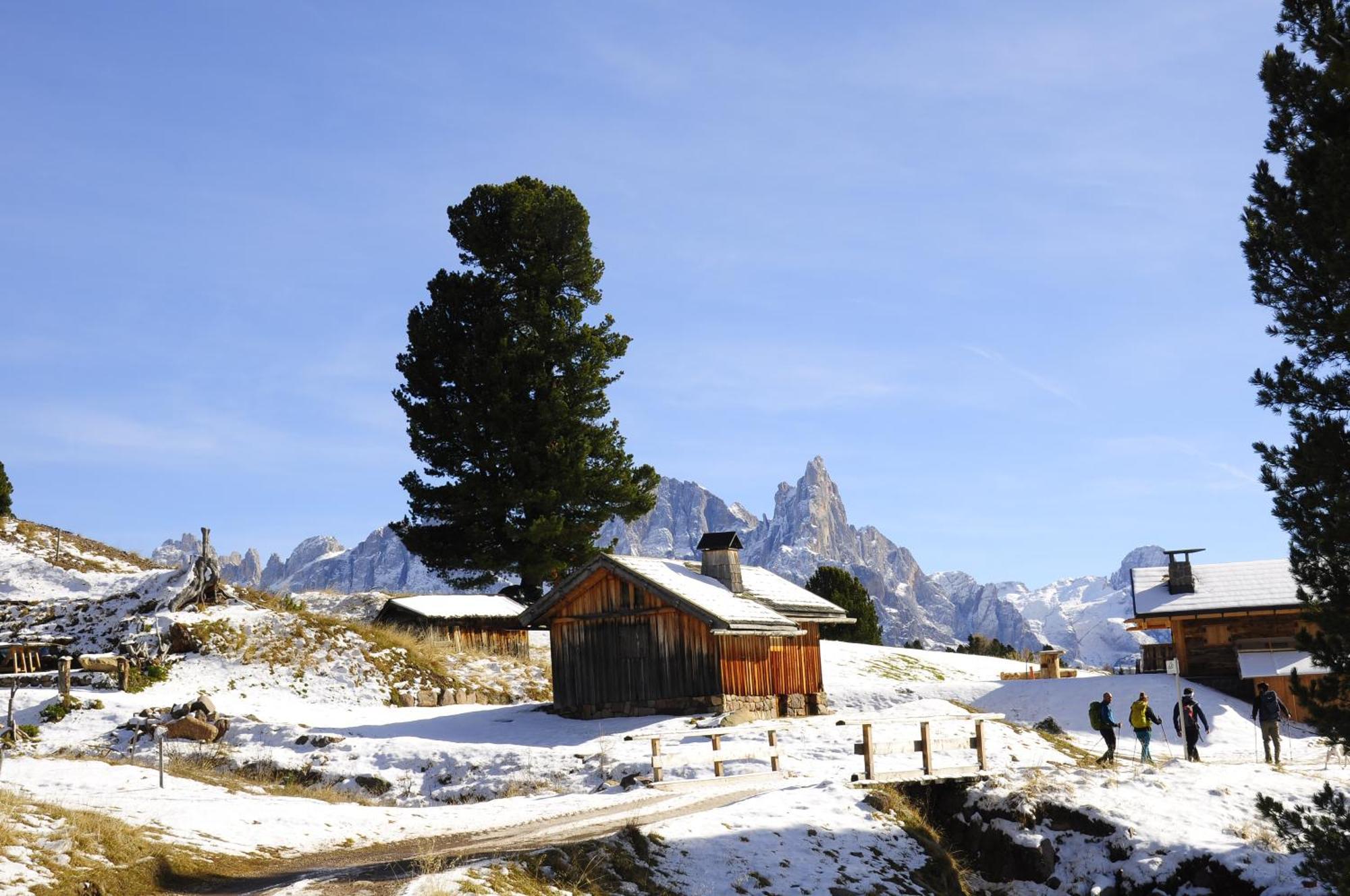 B&B B&Beautyfol Dolomites Adults Only Predazzo Exterior photo